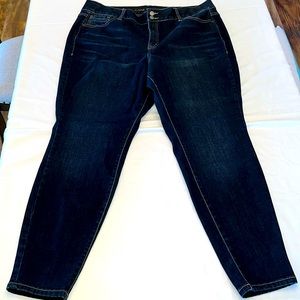 Lane Bryant Jeans